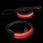 Zestaw obroża odblaskowa z LED regulowana taśma 31 - 40 cm (S) + smycz odblaskowa z LED (M/L) DOGNESS